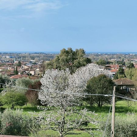 Casa Bianca Villa Pietrasanta Exterior photo